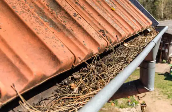 Nettoyage et changement de gouttière  91 5